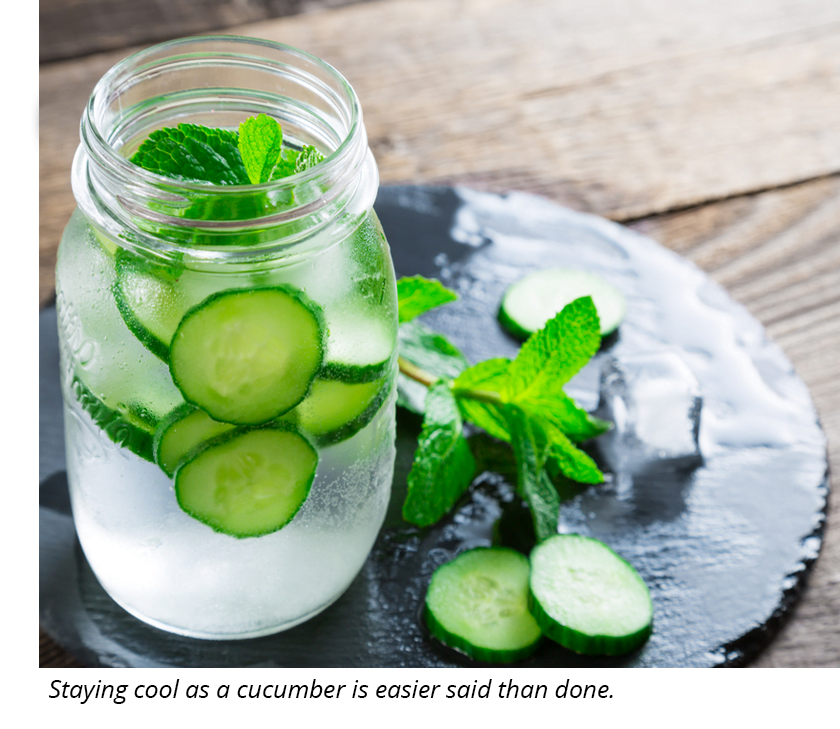 Cucumber and mint water with ice.